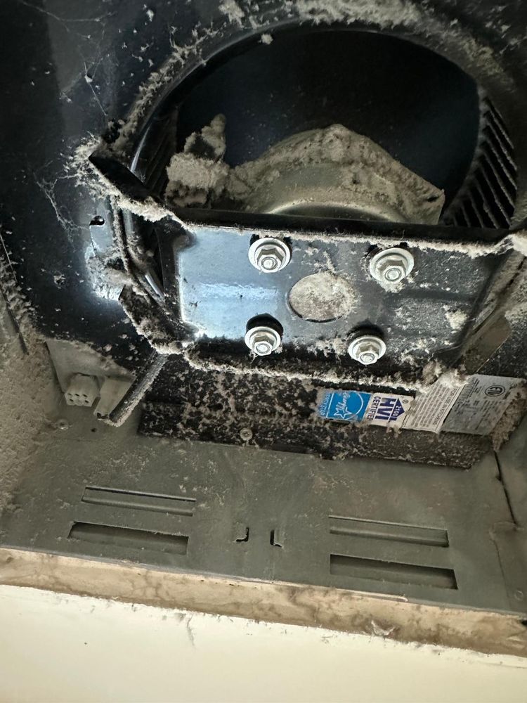 Before cleaning